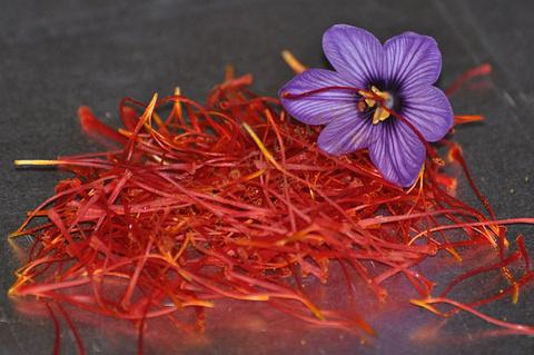 在迪拜购物你一定要提前看完这篇攻略7