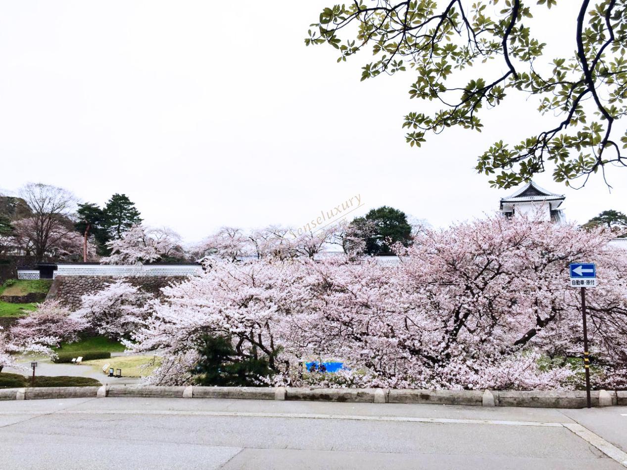 金泽消费水平如何，去金泽旅游需要多少花费3