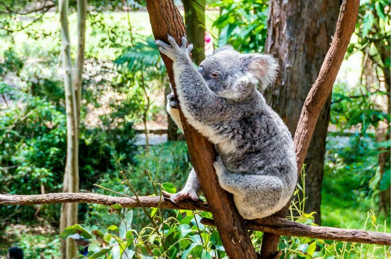 黄金海岸最值得玩的旅游景点有哪些？2