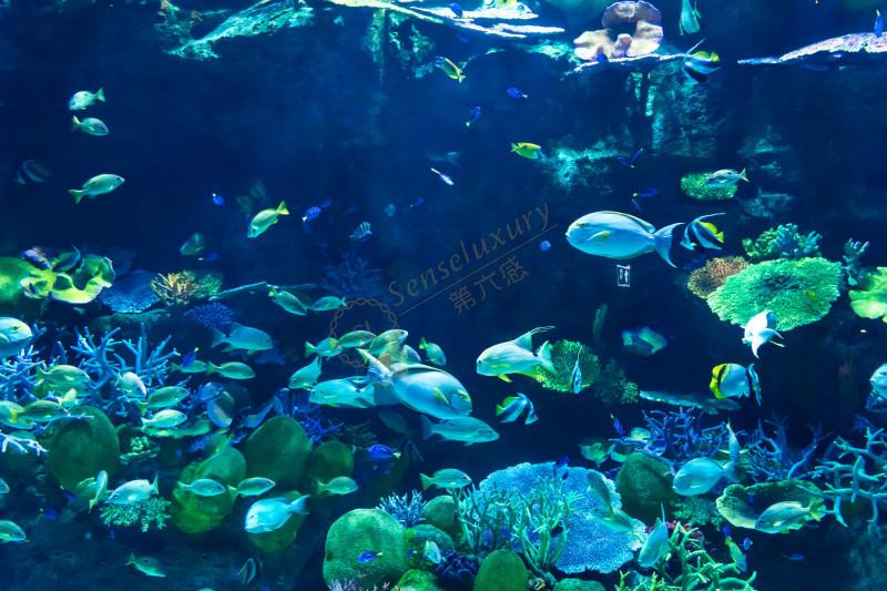 黄金海岸三天自由行经典路线推荐4