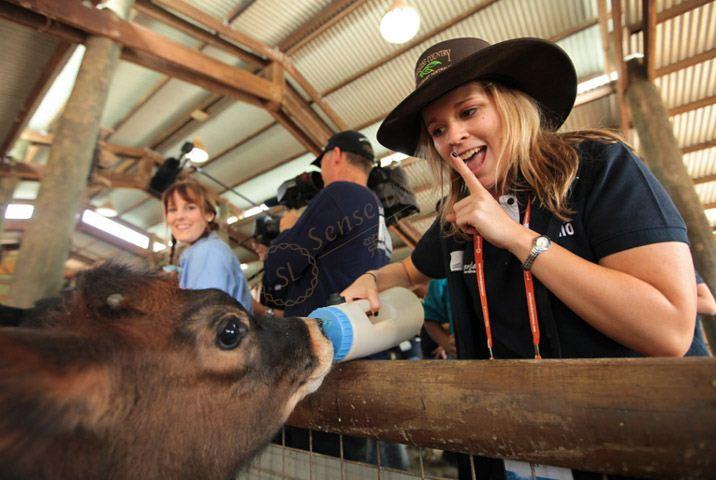 黄金海岸三天自由行经典路线推荐5
