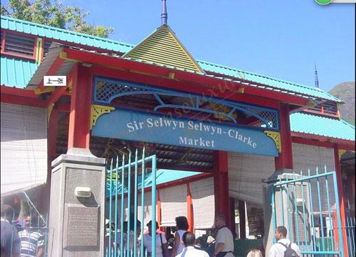 去塞舌尔旅行,买东西必看的购物攻略!6