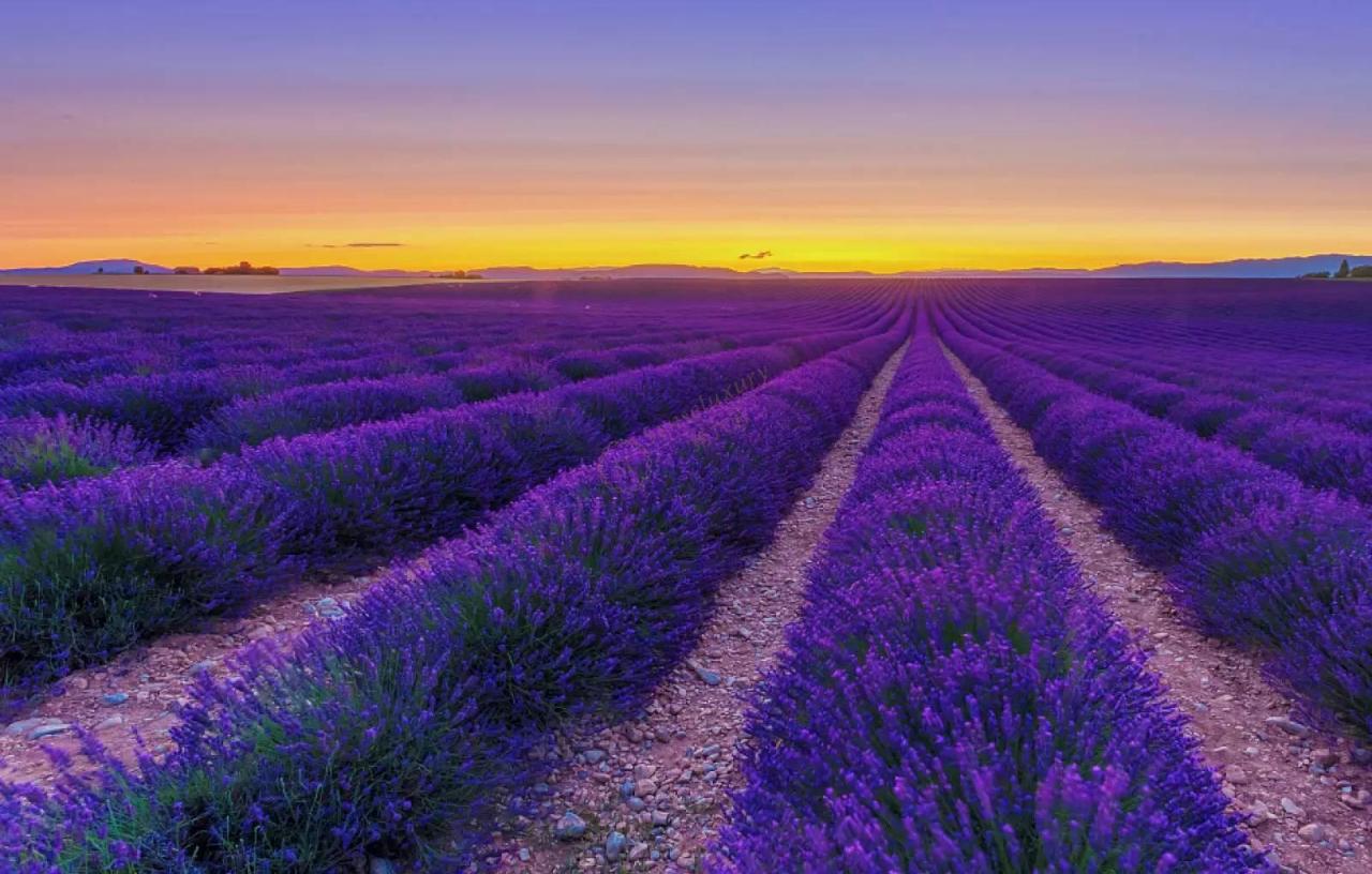 普罗旺斯很美，但一些事项还是需要注意一下1