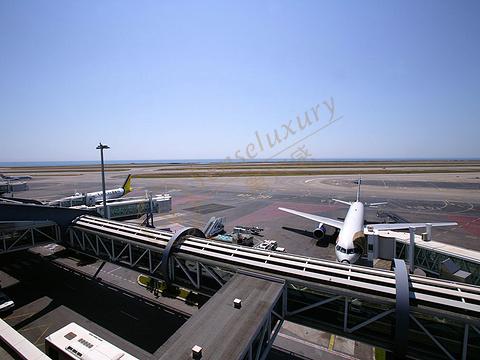 普罗旺斯很美，但一些事项还是需要注意一下6