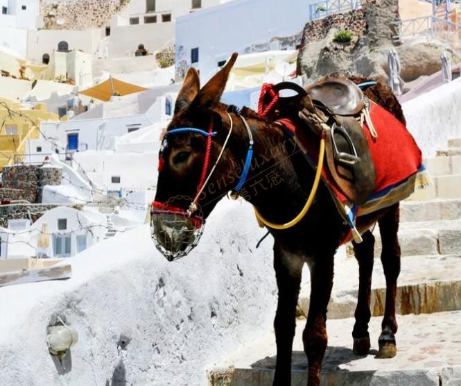 去圣托里尼岛度假，一份游玩攻略必不可少1