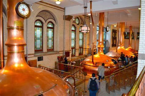 阿姆斯特丹适合游玩几天，阿姆斯特丹自由行攻略7