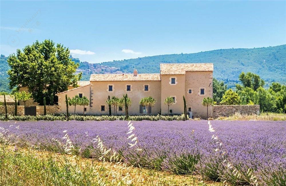 普罗旺斯都有哪些让人痴迷的别墅1