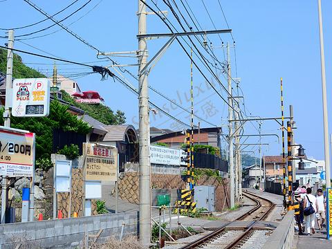 东京12月份之旅，有些事是不能错过的2