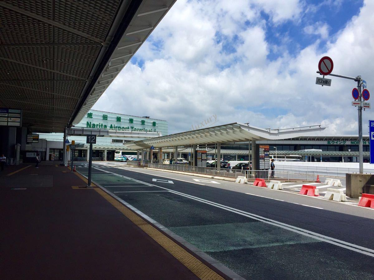 冬季的东京也有很多美景值得欣赏，一起来看看1