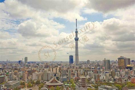 冬季的东京也有很多美景值得欣赏，一起来看看3