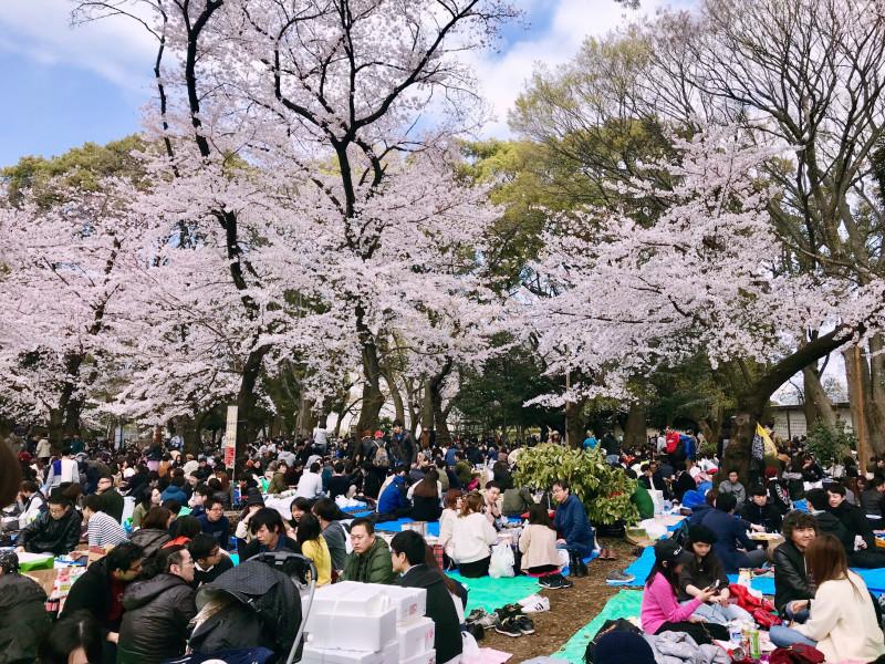 冬季的东京也有很多美景值得欣赏，一起来看看4