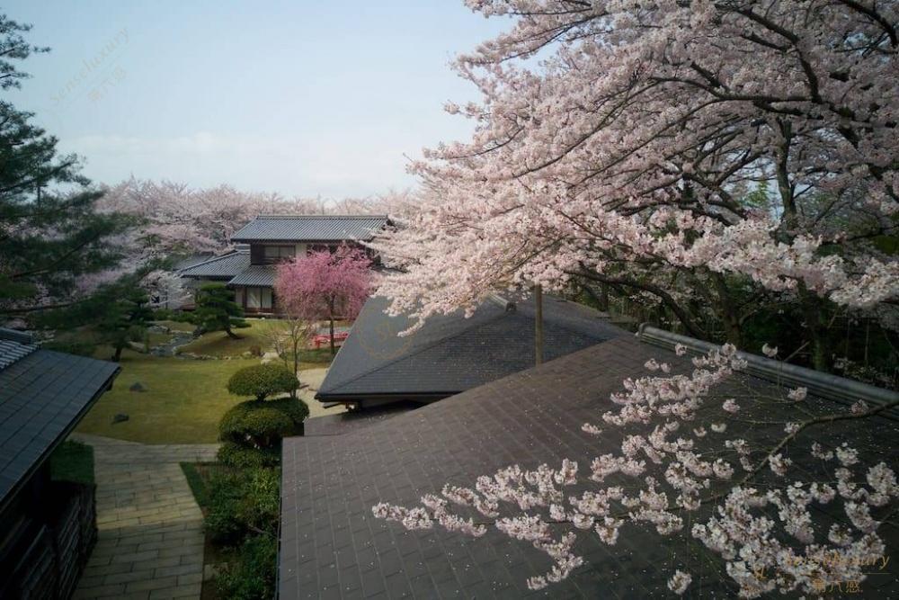 日本大阪酒店推荐，能减少旅途中的疲惫1