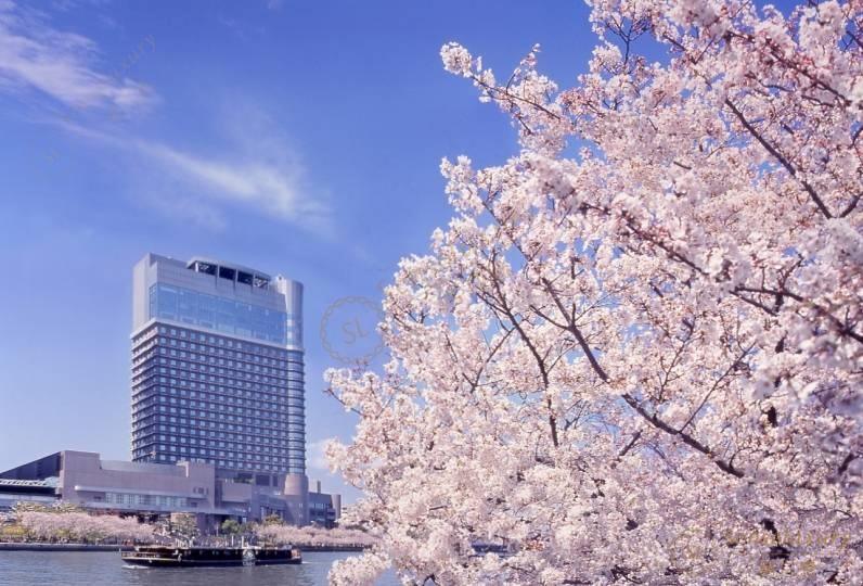 日本大阪酒店推荐，能减少旅途中的疲惫5