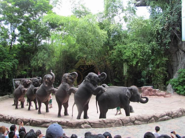 去了华欣，有这么三个景点是不能错过的3