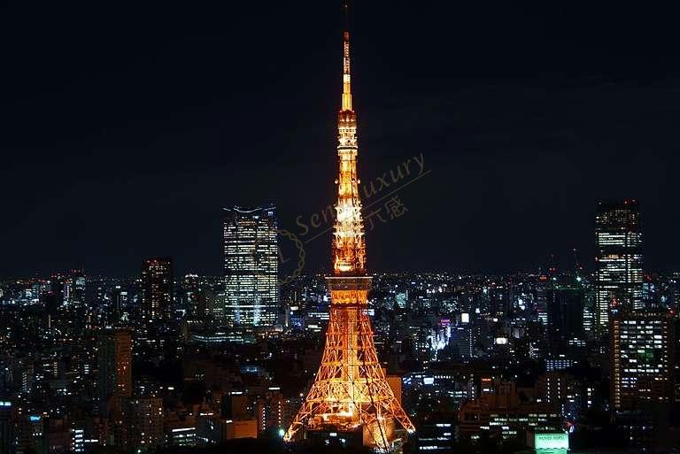 日本东京五天自由行路线推荐，享受一个人的世界4