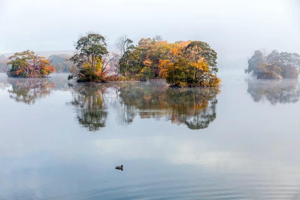 日本东京和北海道新年之旅分享，享受不一样的冬天2