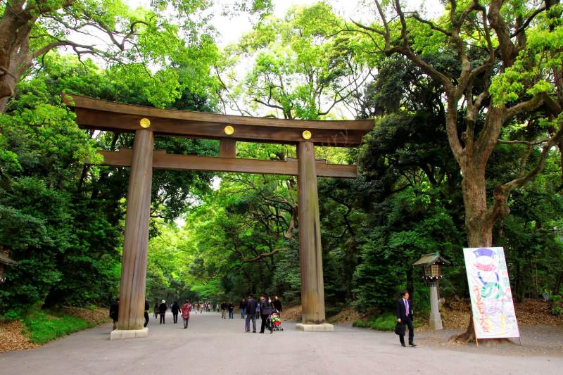 日本东京和北海道新年之旅分享，享受不一样的冬天5