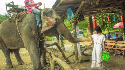 清迈有哪些好玩的，该如何玩？请看这篇6