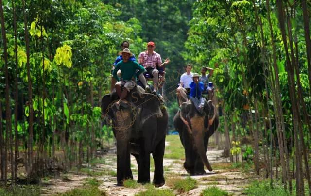 曼谷和苏梅岛自由行，全程都是满满的回忆5