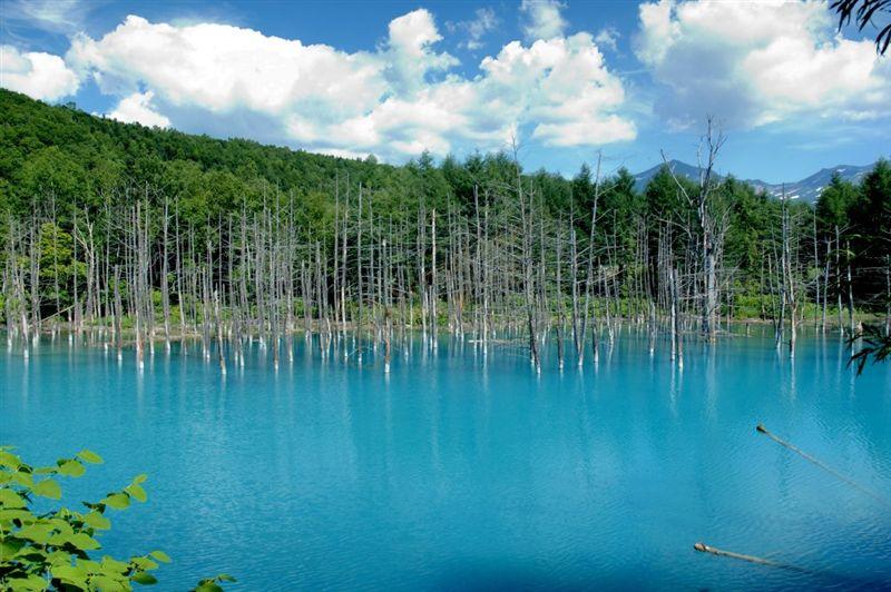 北海道旅游，你不得不知的几大美景1