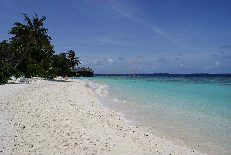 一家人在马尔代夫旅游,不知道如何选择海岛度假村?4