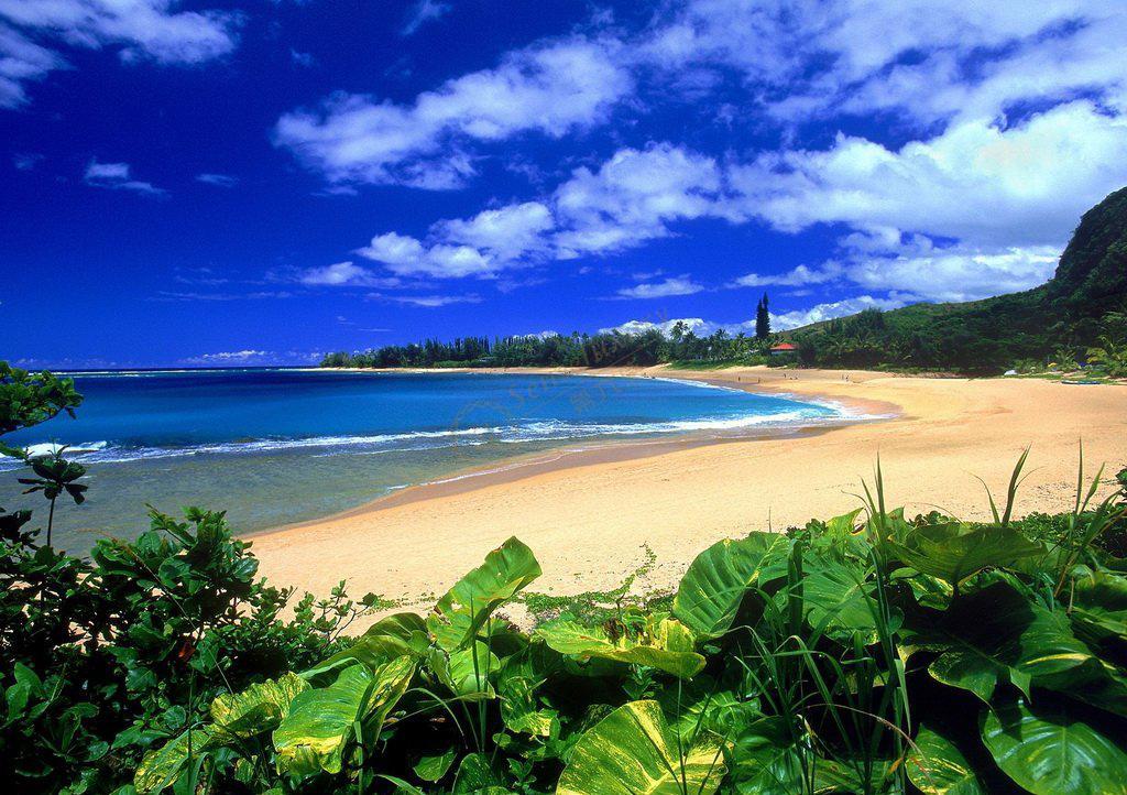 一家人在马尔代夫旅游,不知道如何选择海岛度假村?5