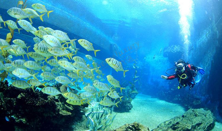 普吉岛除了著名的海滩,还有哪些娱乐活动?5