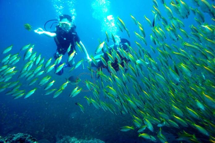 苏梅岛都有哪些好看景点和好玩地方？5