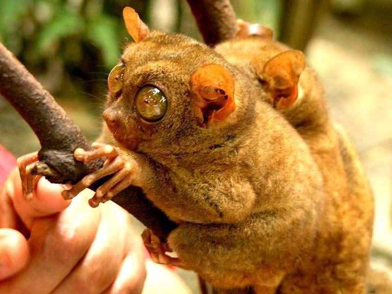 到薄荷岛旅行,遇见你心中最美的那一抹蓝5