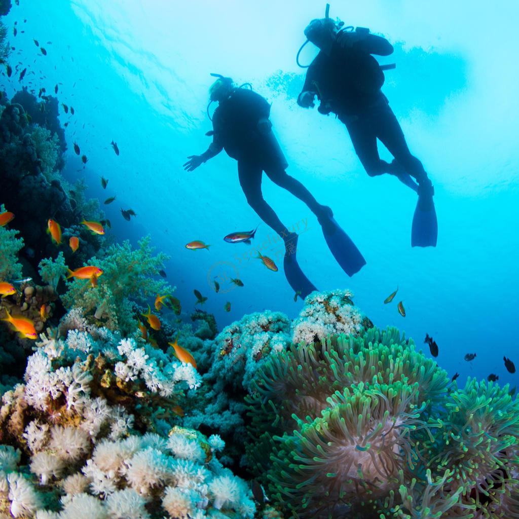 薄荷岛最新旅游攻略,你值得拥有6