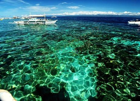 薄荷岛防坑之旅,你需要知道的相关事宜2