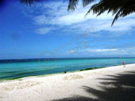 薄荷岛防坑之旅,你需要知道的相关事宜3