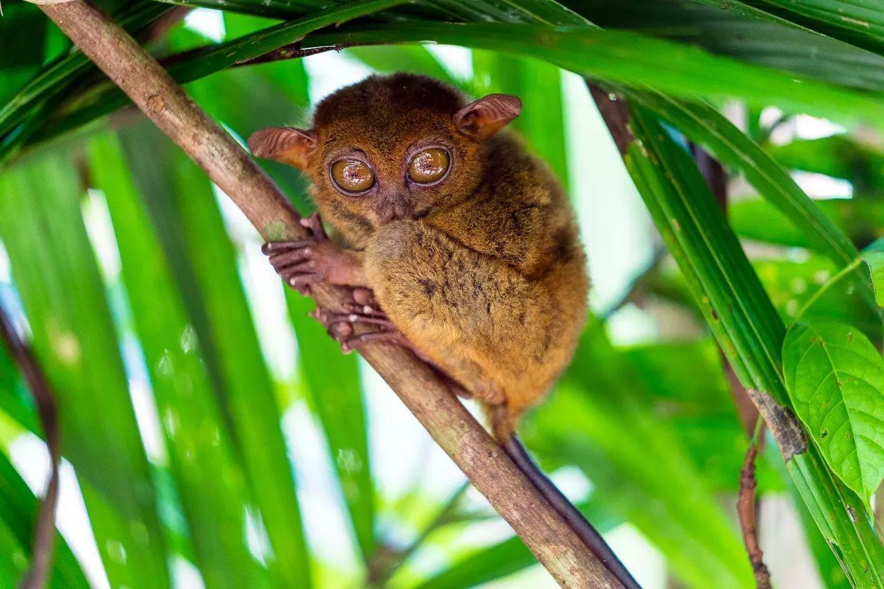 选个好时间，开启一场薄荷岛享受之旅6