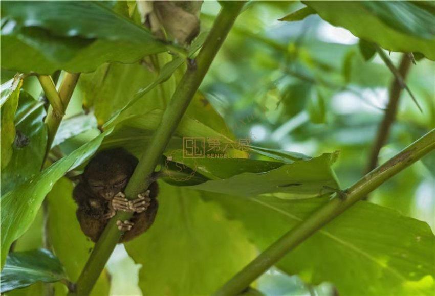 到薄荷岛去玩，你最想知道的花销那些事3