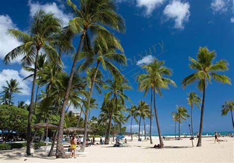 来欧胡岛旅游之前要做哪些攻略，一起来看下6