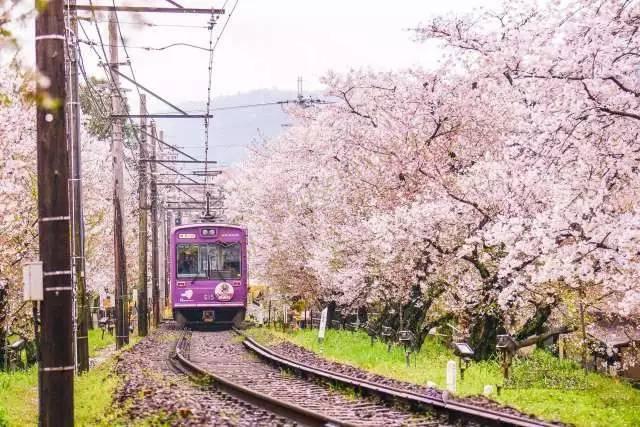 年底了，春节去日本京都度假怎么样？6