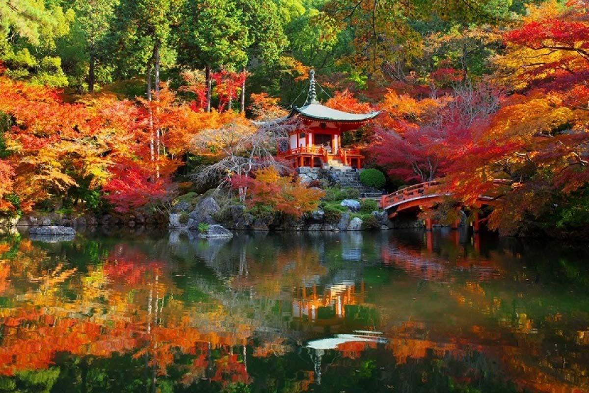 京都都可以去哪里玩，京都三天之旅3