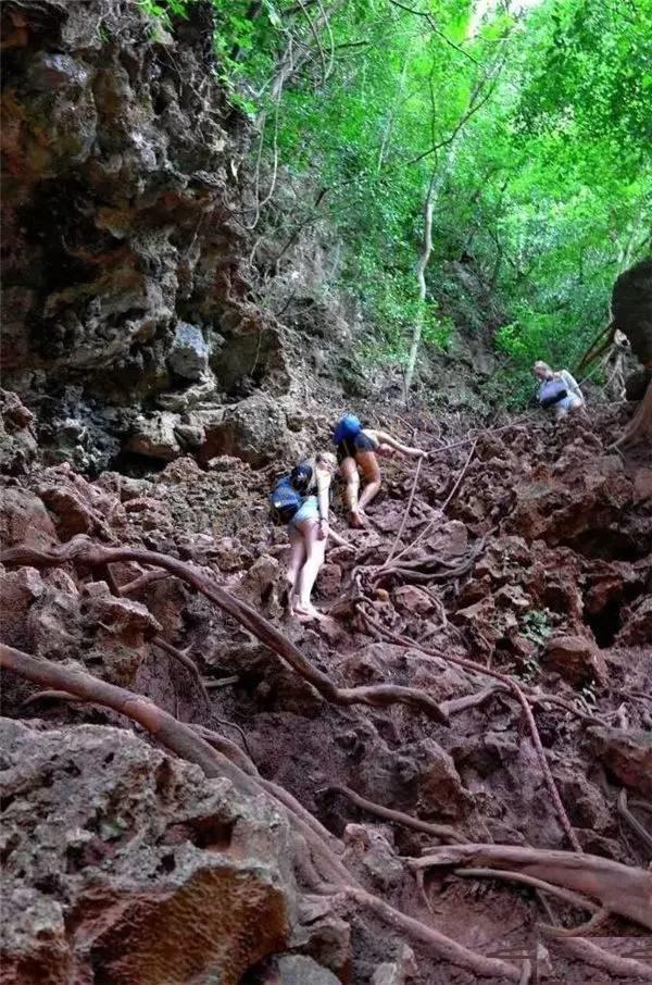 泰国甲米，你的海岛之游新去处3