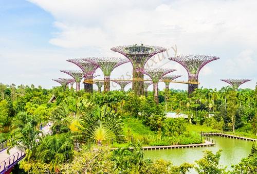 新加坡旅游需要注意哪些事项，这个你必须看！6