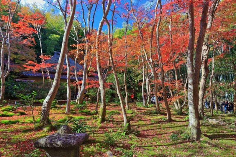 来京都度不一样的假日,享受一个人的宁静2