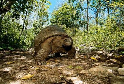 带上孩子一起,来一次塞舌尔海岛亲子游吧5