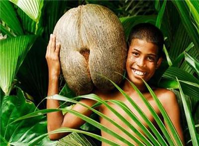 带上孩子一起,来一次塞舌尔海岛亲子游吧6