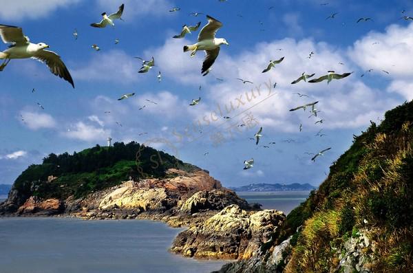 塞舌尔热门景点大全，度假旅游必备4