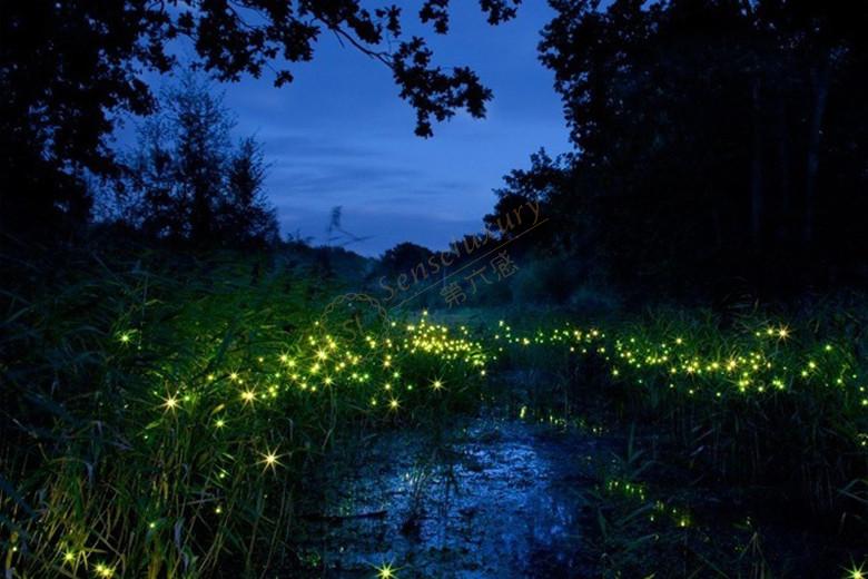 在海岛沙巴自由行，享受最纯粹的大自然美景3