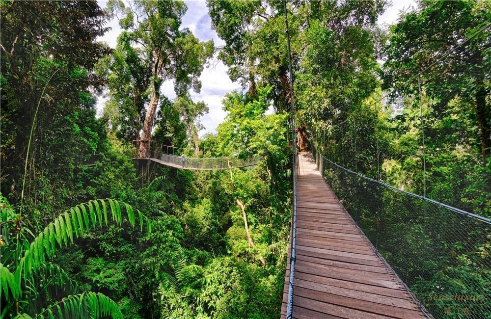 沙巴最适宜的旅游度假时间，你准备好去了吗？2