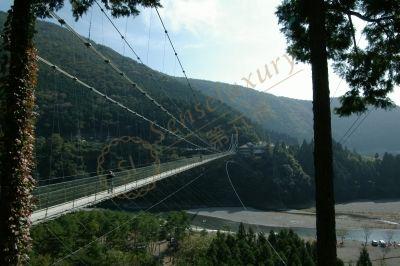 你只知道奈良很美还不行，去旅行选好时间段很重要3