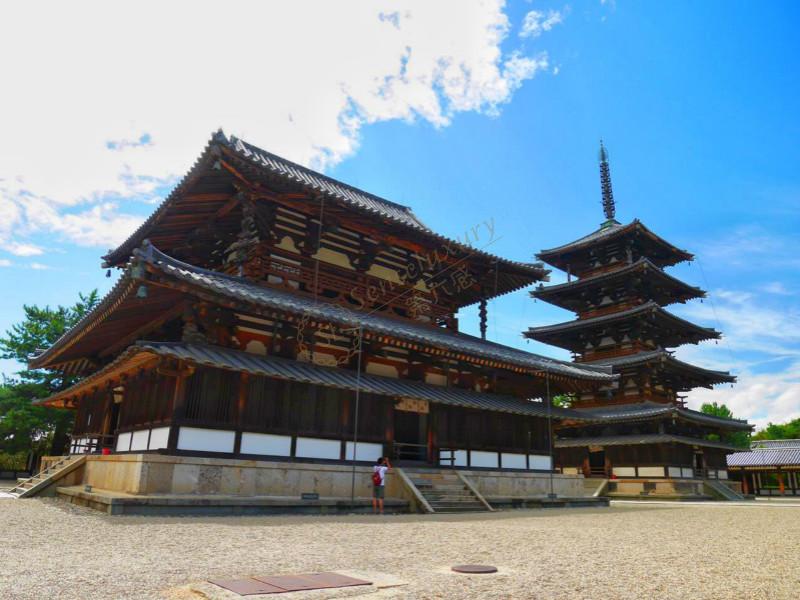 你只知道奈良很美还不行，去旅行选好时间段很重要4