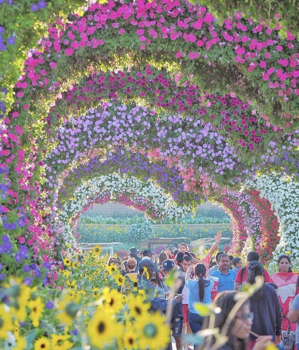 如果你想奢侈一回，就去迪拜吧！4