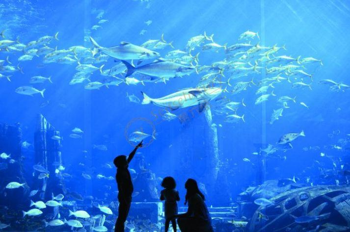 如果你想奢侈一回，就去迪拜吧！8