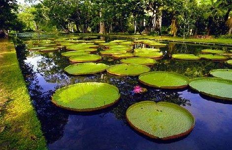 在毛里求斯旅游，异国他乡肯定有些事情是需要留意的5